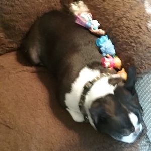 Meet your Posher, Sue